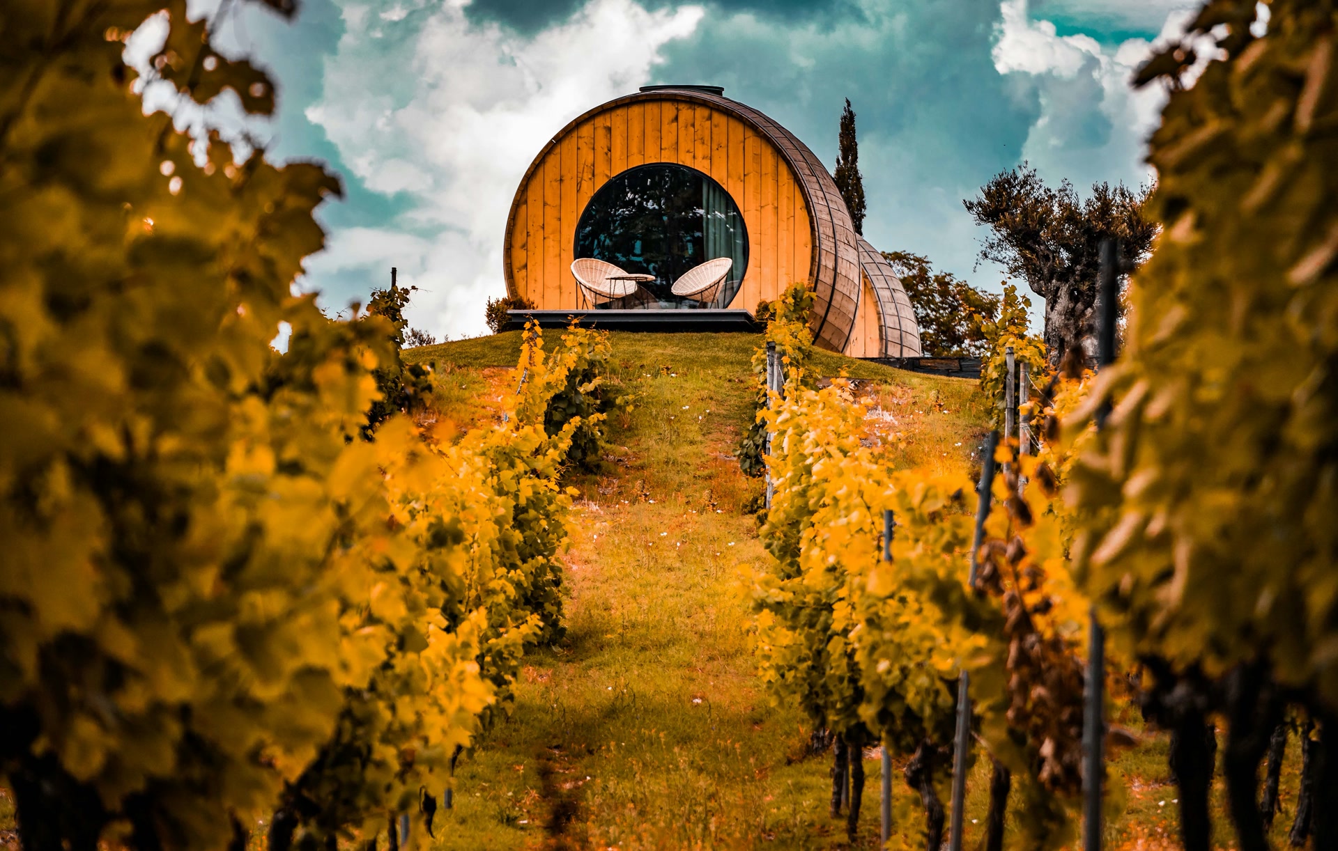 Quinta do Douro vinhateiro