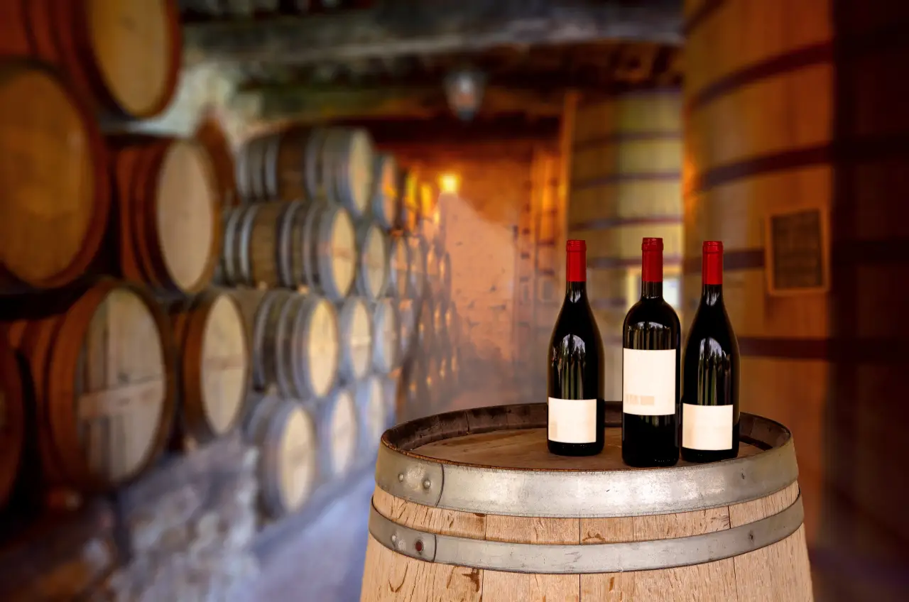 Prova de Vinho